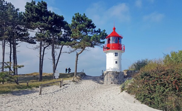 Unclassified image, 1 of 17, button