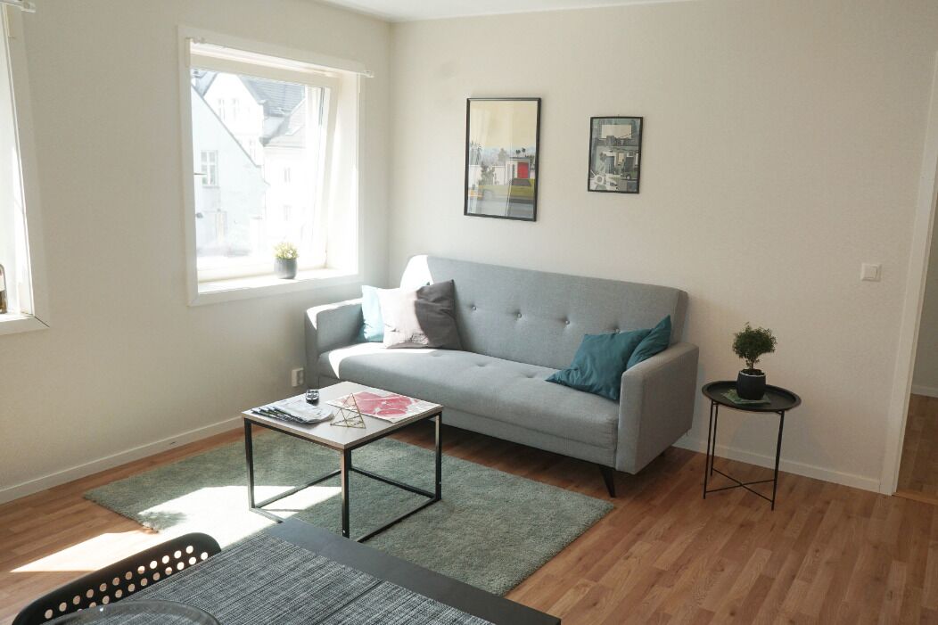 A modern living room with a grey sofa, a small table, and a potted plant.
