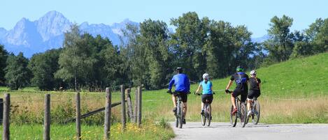 Un grupo de ciclistas en una carretera rural con montañas al fondo.