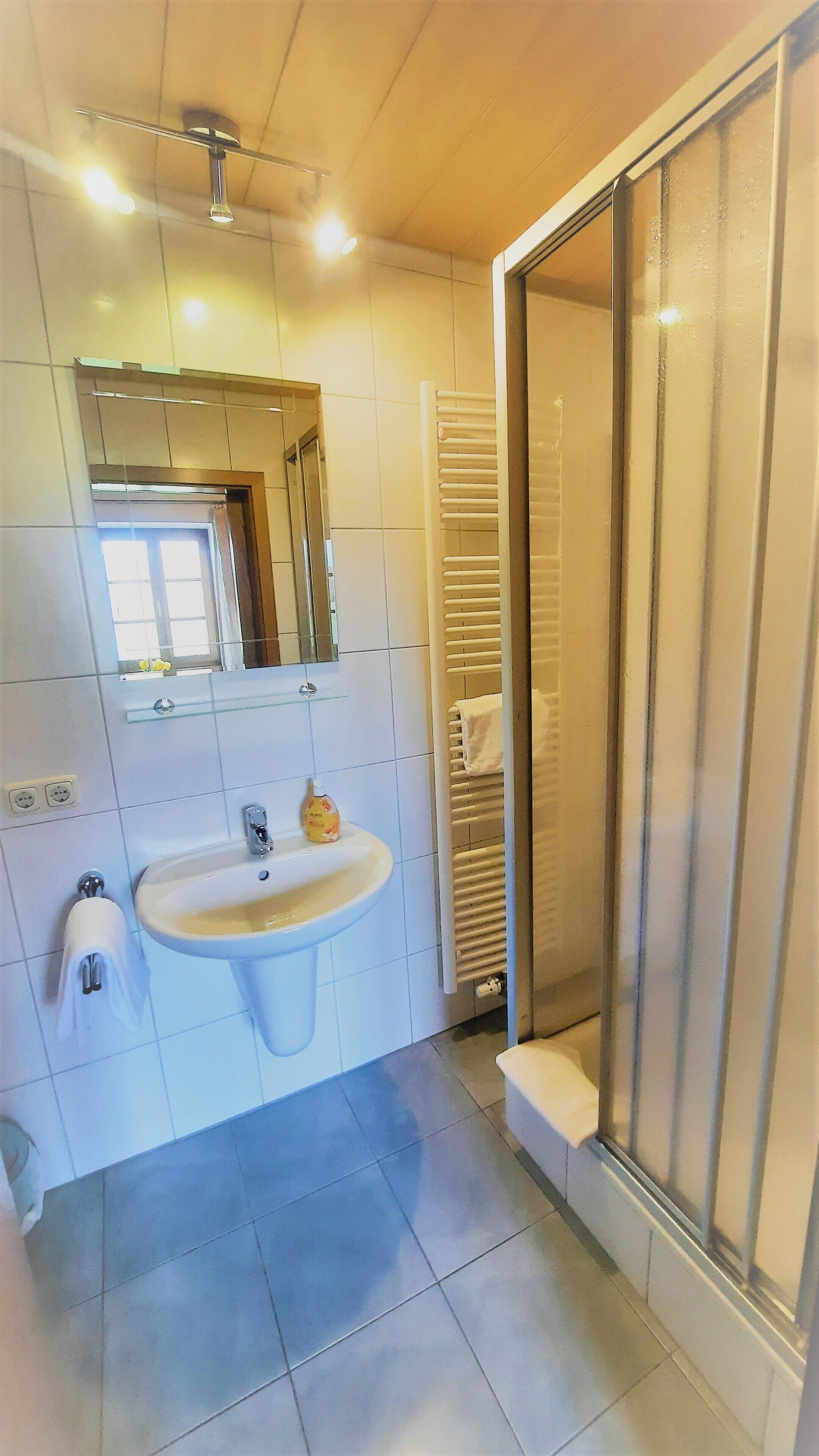 economy single room | bathroom | shower, free toiletries, towels