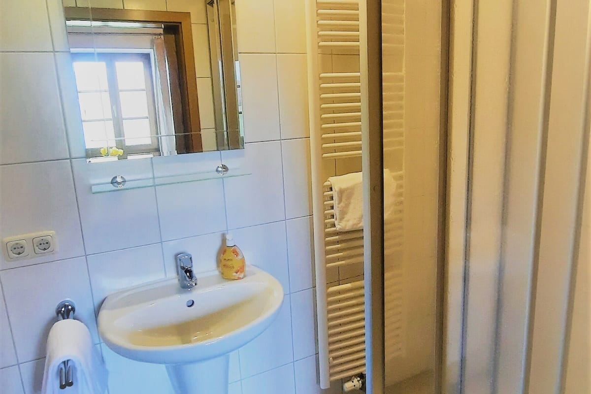 economy single room | bathroom | shower, free toiletries, towels