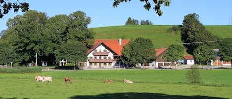 Extérieur