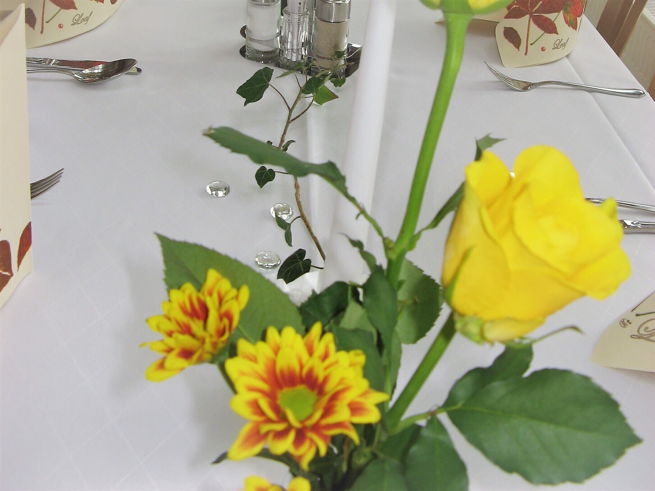 breakfast, lunch, dinner served; german cuisine, al fresco dining