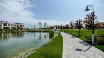 Lake view