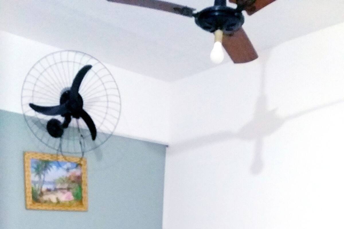 Un dormitorio con una cama, un ventilador de techo y un cuadro en la pared.