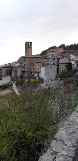 City view from property - Le Boustrophédon (Vallées-d'Antraigues-Asperjoc)