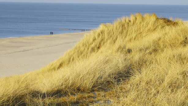A beach with sand dunes and a clear view of the ocean. - Vacation apartment Kiekin - Kiekut (Wenningstedt-Braderup (Sylt))