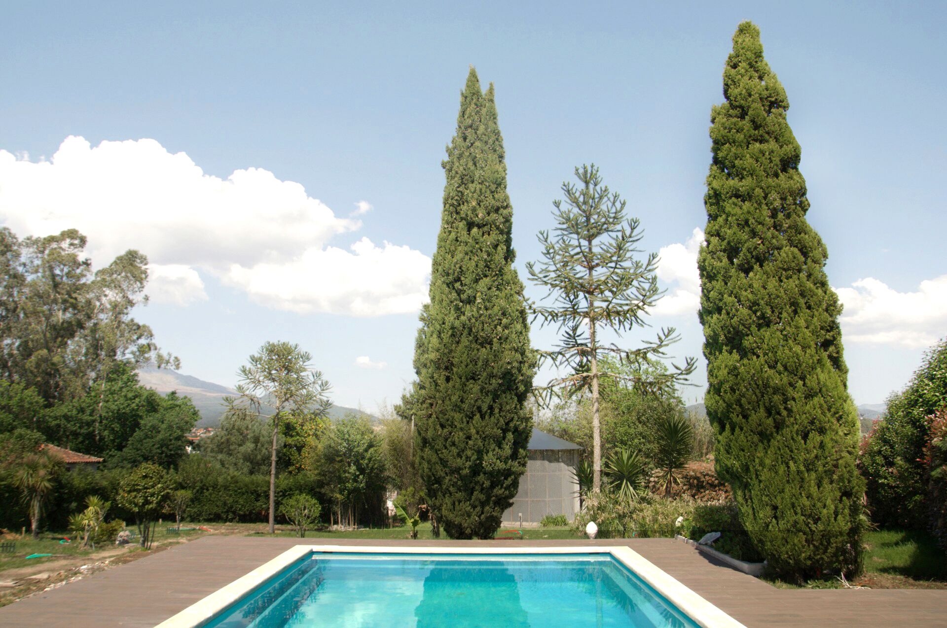 Une piscine bordée de cyprès imposants.