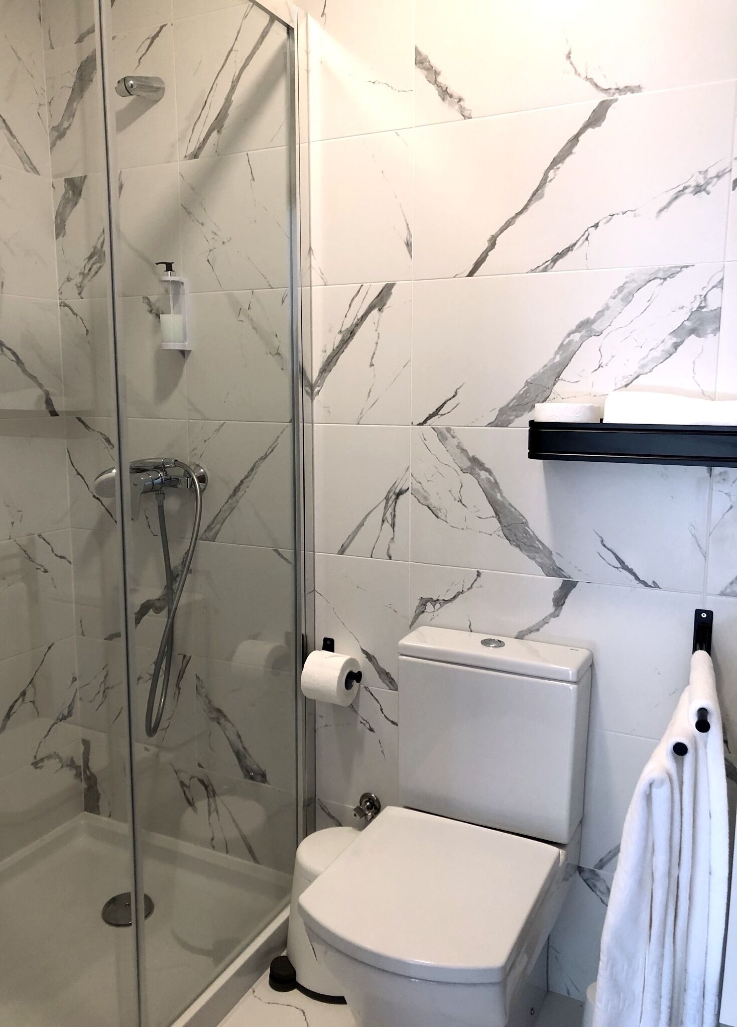 A bathroom with a glass-enclosed shower, a toilet, and a towel rack.