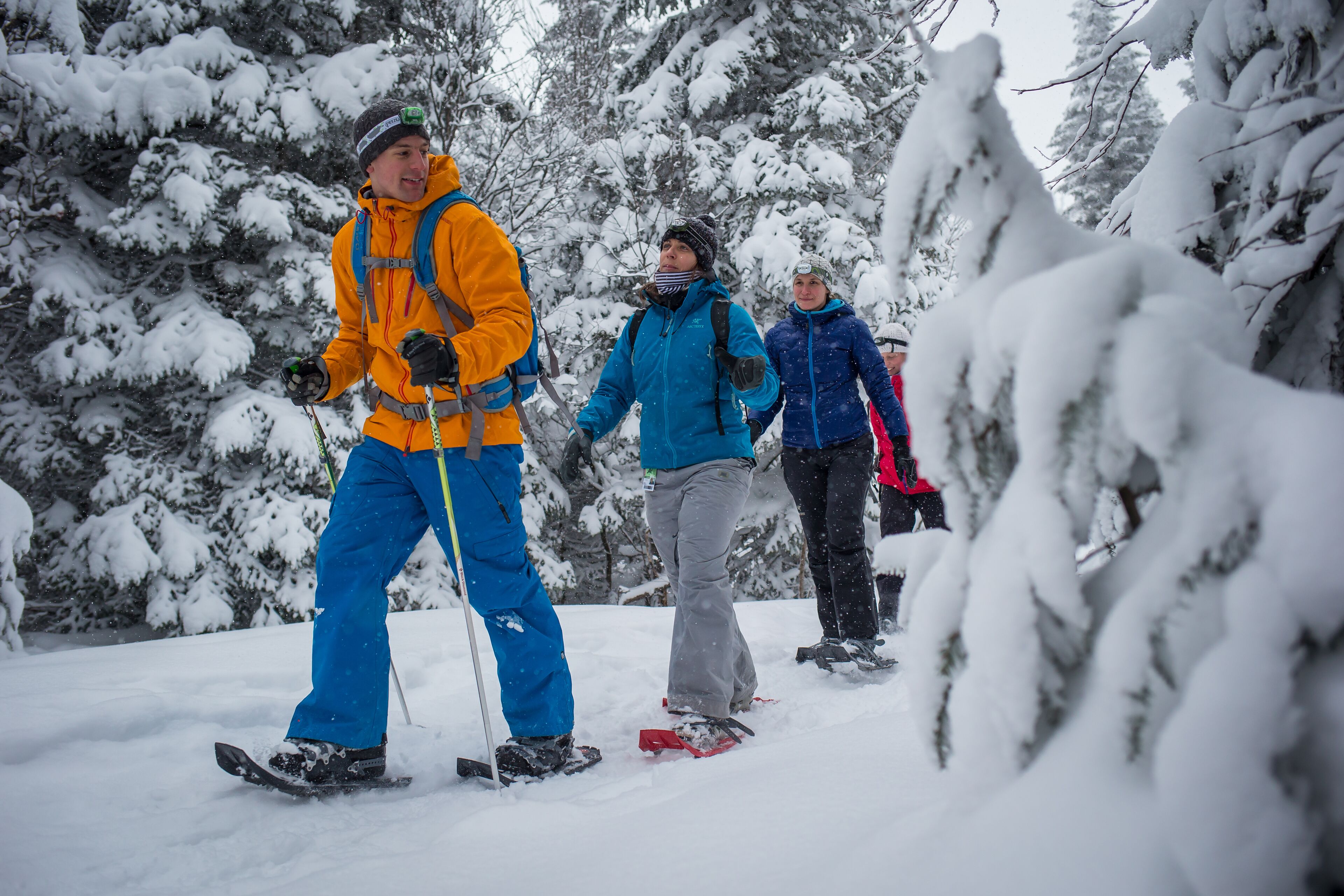 Un gruppo di persone scia in una foresta innevata.