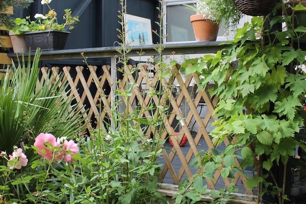 The Terrace
