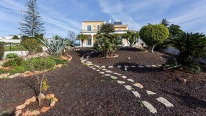 Ein Haus mit einem gepflasterten Weg, der zur Eingangstür führt, umgeben von verschiedenen Pflanzen und Bäumen.