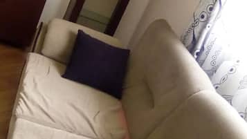 Dobbeltrom | Oppholdsrom | Flatskjerm-TV