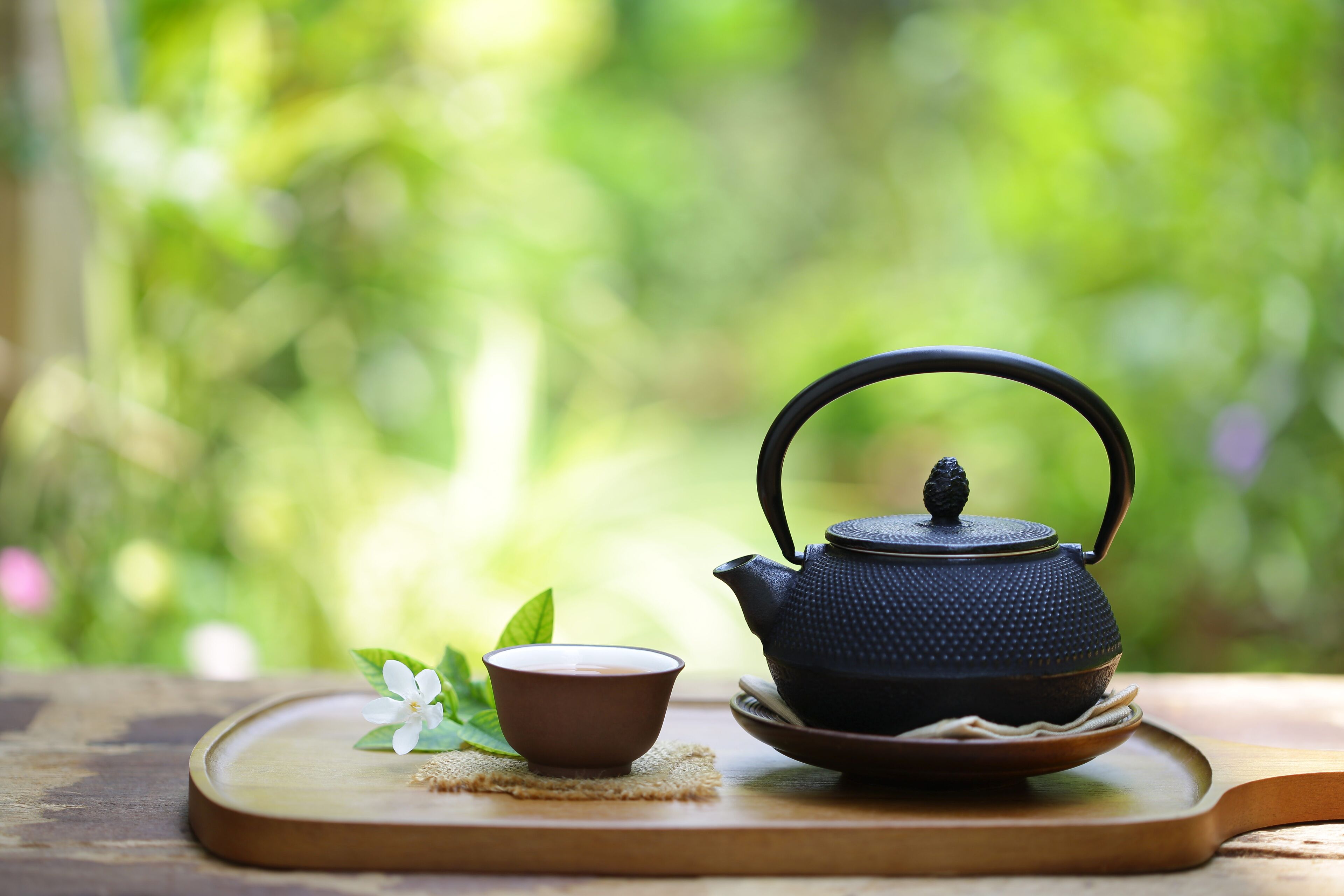 A teapot and cup on a wooden tray with a blurred green background.