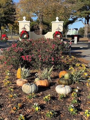 Garden area with a variety of plants and flowers, including roses and pumpkins, arranged in a decorative manner.