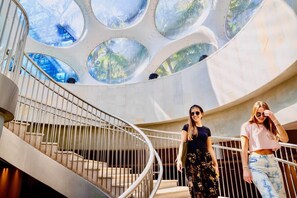 Interior - Miami Tropical Oasis - 1 Bdrm Perfect Miami Views (Miami)