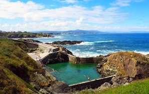 Natural pool