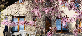 Gîte Magnolia châtenois (detached house 80 m2 with private garden)