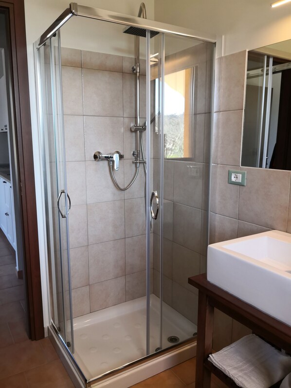 Shower, hair dryer, bidet, towels