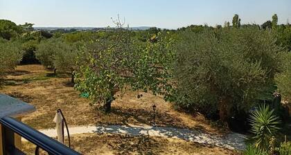 Residence Il Gatto e la Luna - Appartamento Luna