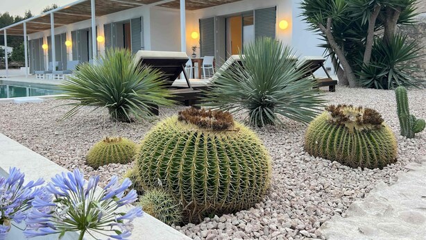 Una casa moderna con piscina, circondata da cactus e piante tipiche del deserto.