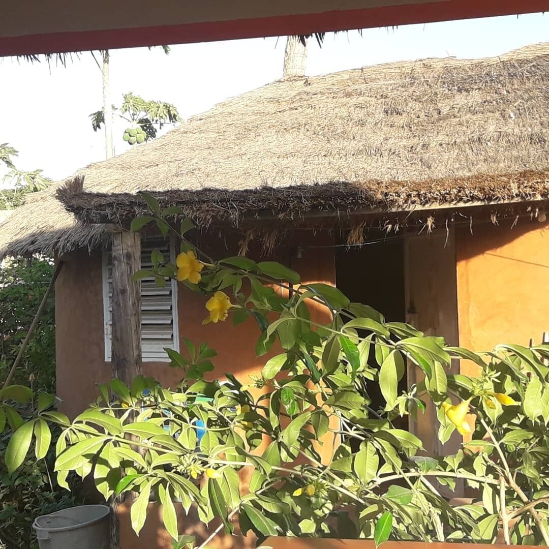Une petite maison au toit de chaume, dotée d’une seule fenêtre et d’une porte, entourée d’une végétation luxuriante.