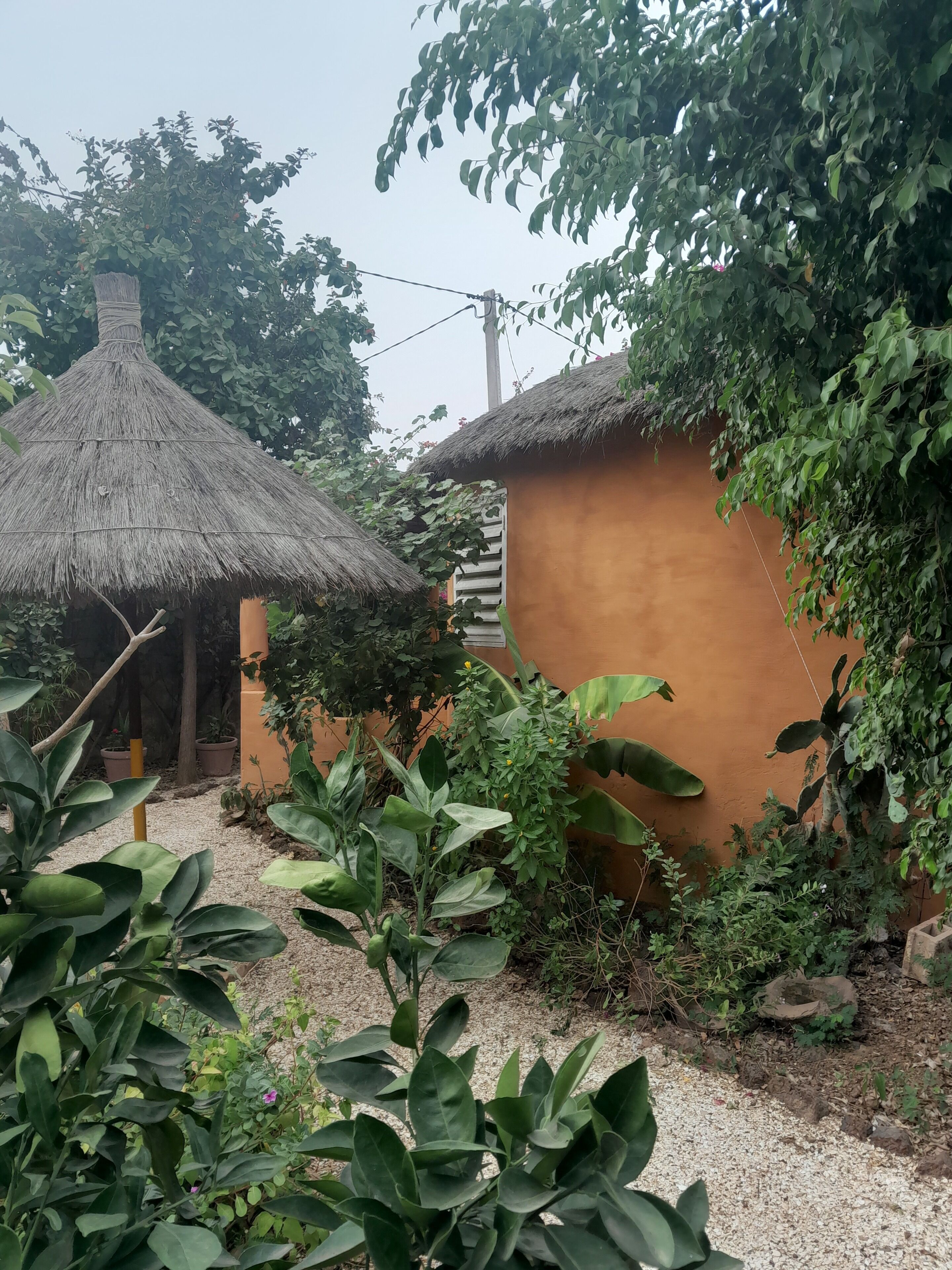 A traditional thatched-roof hut and a mud-brick building surrounded by lush greenery.
