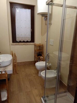 Shower, hair dryer, bidet, towels