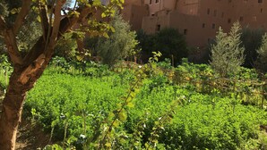 Garden - Auberge Restaurant La Petite Gorge (Toudgha El Oulia)