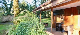 Great house with pool and native trees:  special for the solar eclipse
