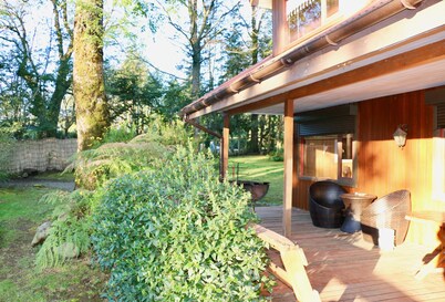 Great house with pool and native trees:  special for the solar eclipse