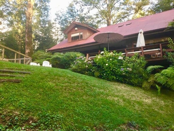 A rustic wooden building with a red roof, surrounded by lush greenery and a wooden deck. - Great house with pool and native trees:  special for the solar eclipse (Pucón)