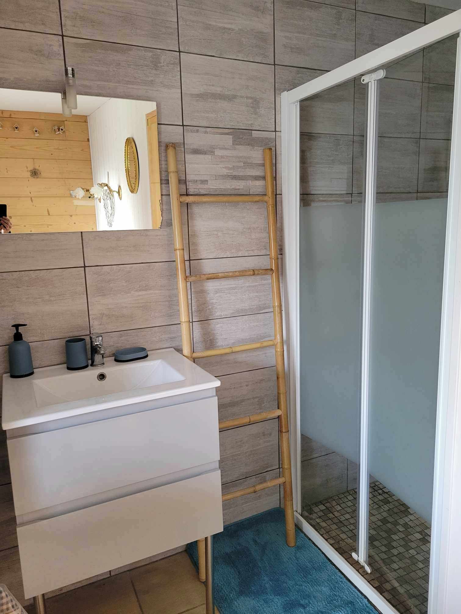 Chuveiro, secador de cabelo, papel higiênico 