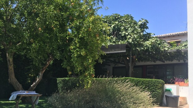 A swimming pool with a brick border, surrounded by well-maintained hedges and trees. - House with garden and views in a natural area 15' from the bustling city center (Granada)