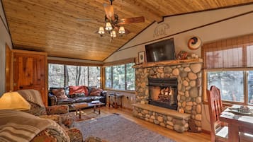 Smart TV, fireplace, books