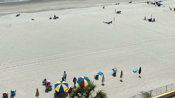 A beach with wide sandy areas, a few umbrellas, and a palm tree. - Beach Front 2 bedroom 2 bath 7th floor condo in the prestigious Brigadune  (Myrtle Beach)