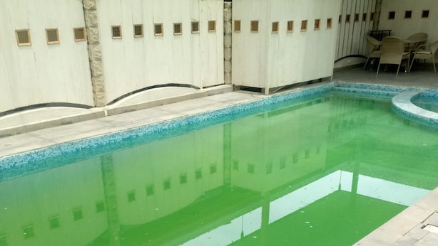 A rectangular swimming pool with clear blue water, surrounded by a tiled deck. - Countryhouse Inn Hotel (Naivasha)