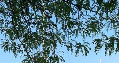 Christie Corner II: Quaint Apartment located in Desirable Port Dalhousie