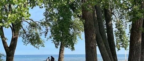 Beach nearby