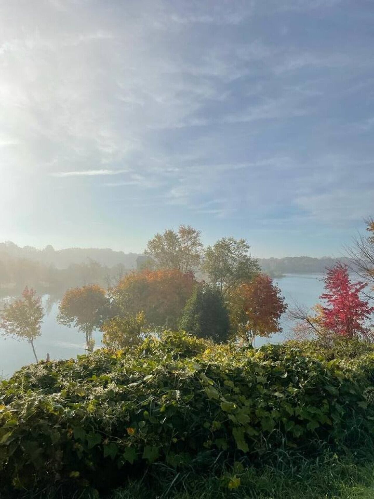 A serene lakeside view with trees and a clear sky.