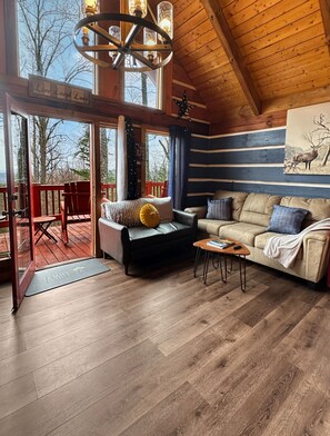 Smart TV, fireplace, video games, DVD player