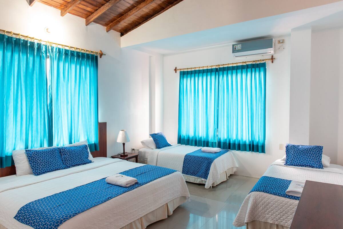 A hotel room with two beds, each with a blue patterned bedspread, white pillows, and a blue and white patterned pillow. There is a nightstand with a lamp, a wooden headboard, and a window with blue curtains.