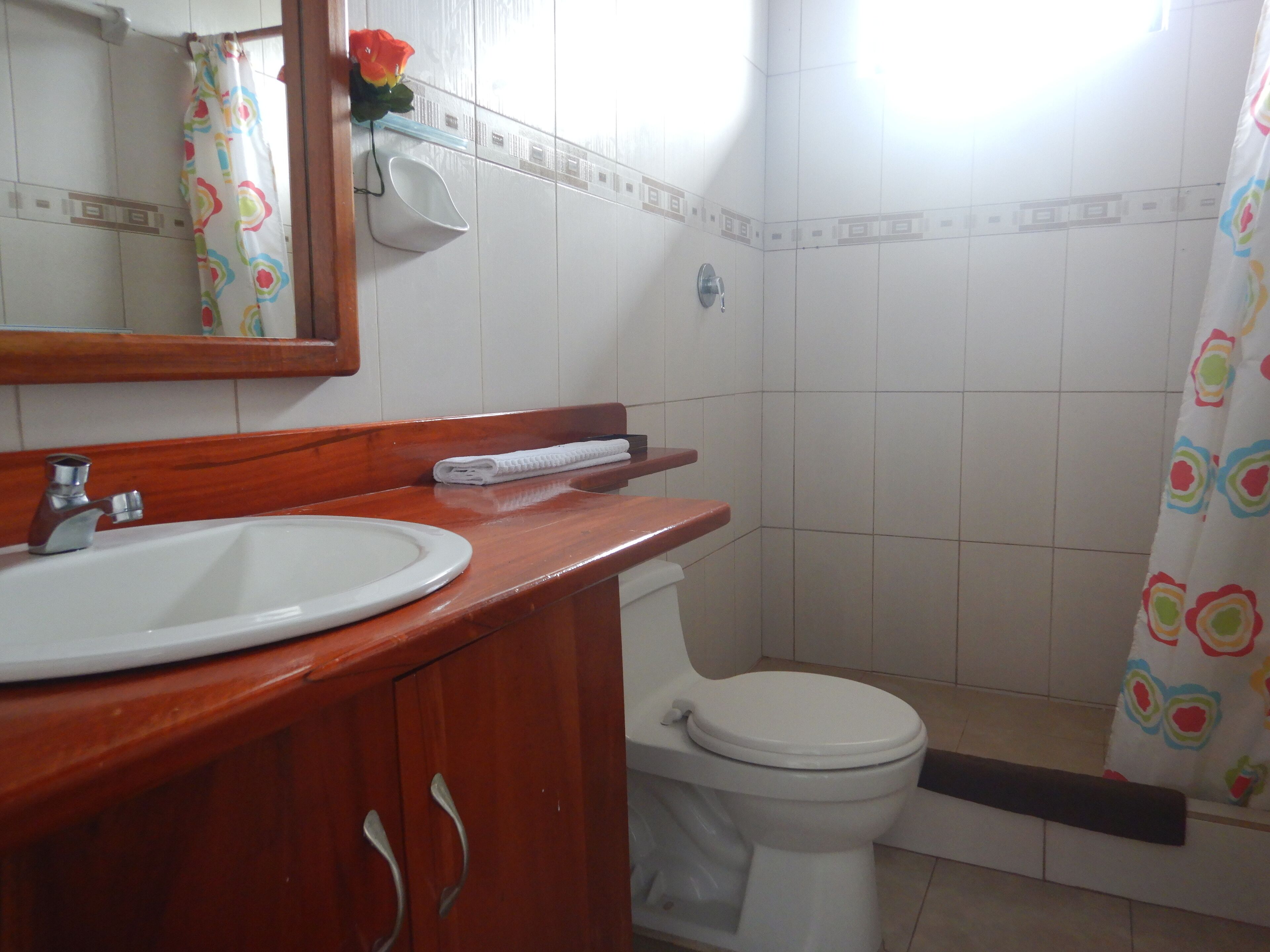 Photo - Hotel LA GRAN TORTUGA - ᯤ STARLINK