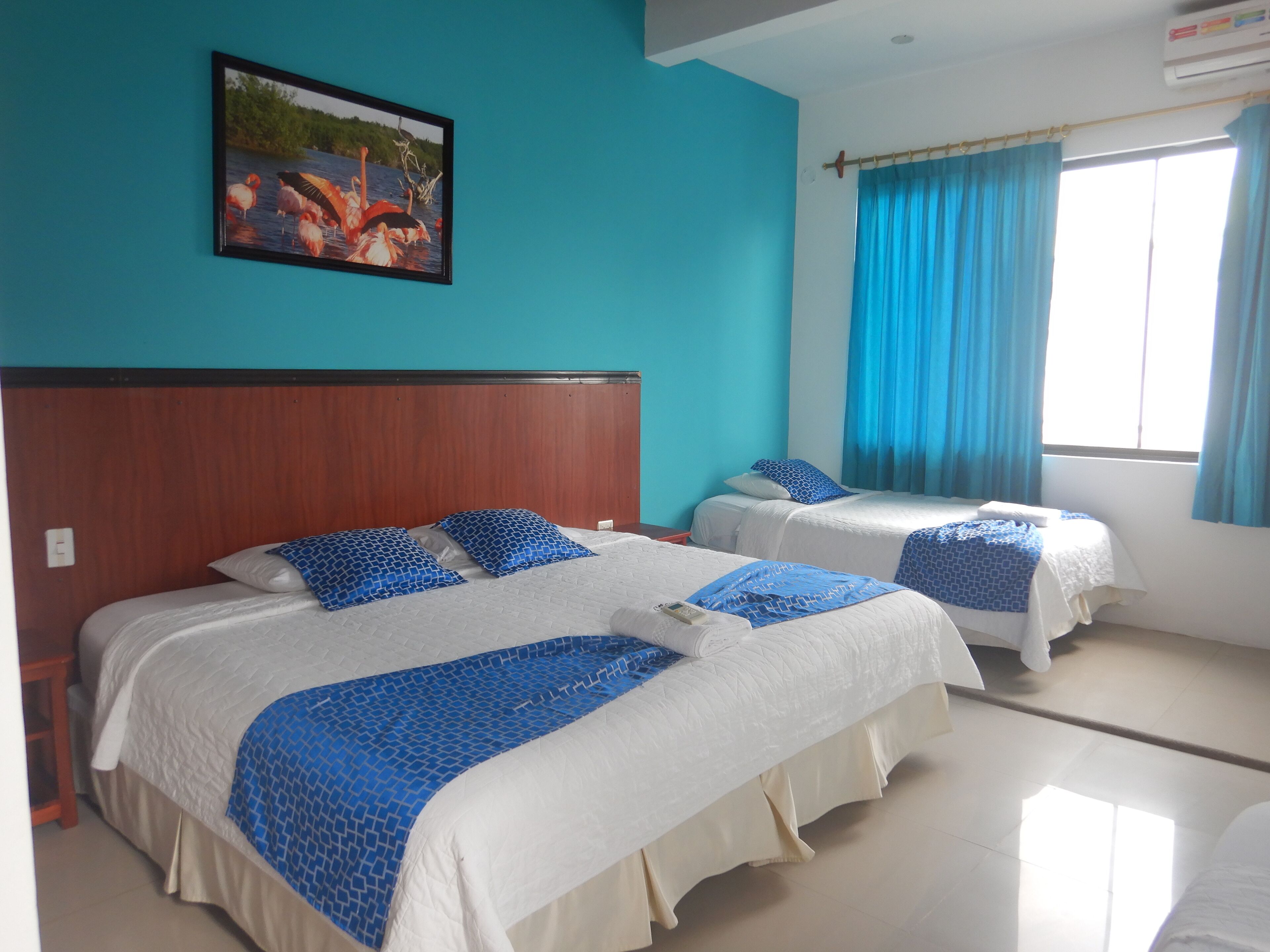 Photo - Hotel LA GRAN TORTUGA - ᯤ STARLINK