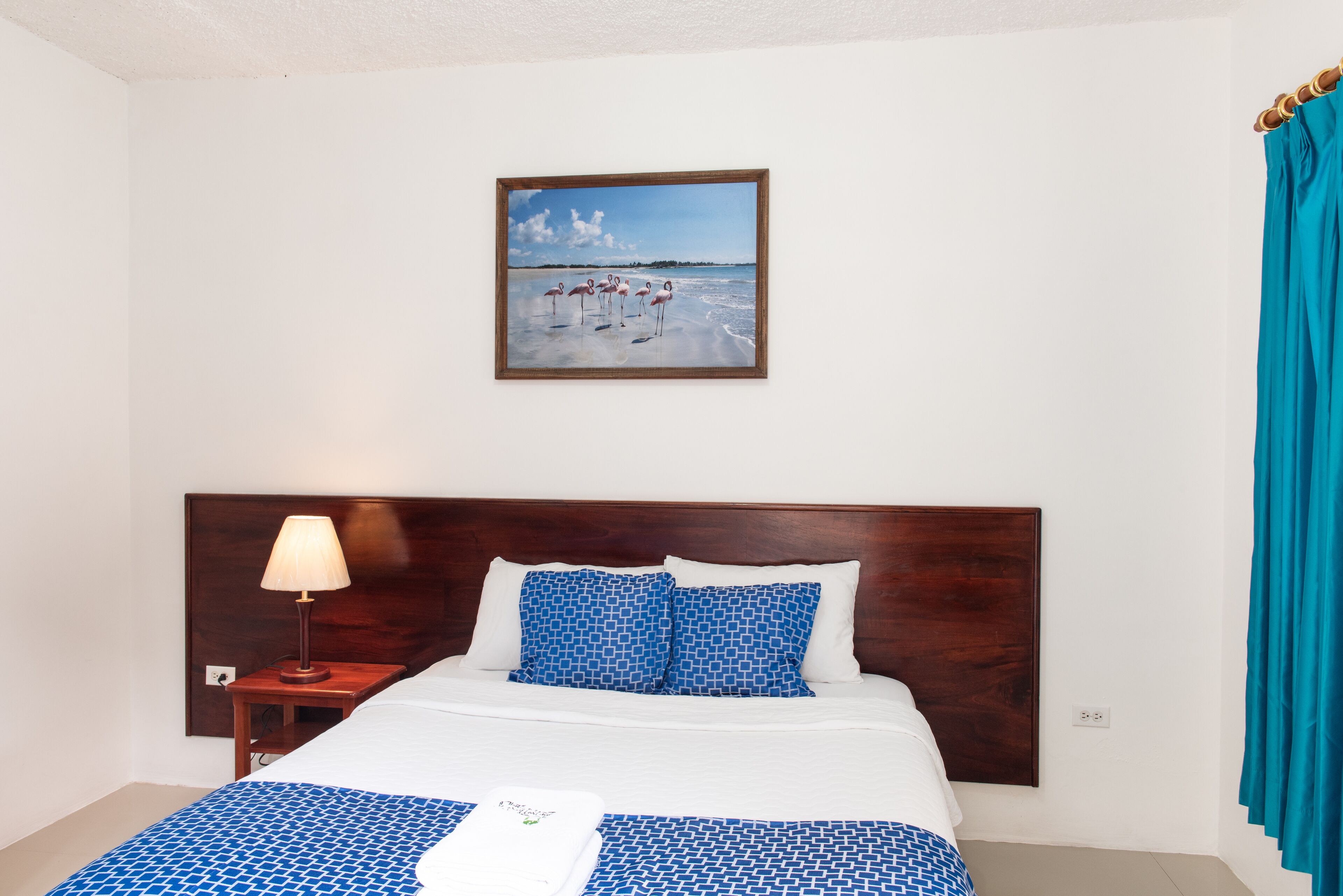 Photo - Hotel LA GRAN TORTUGA - ᯤ STARLINK