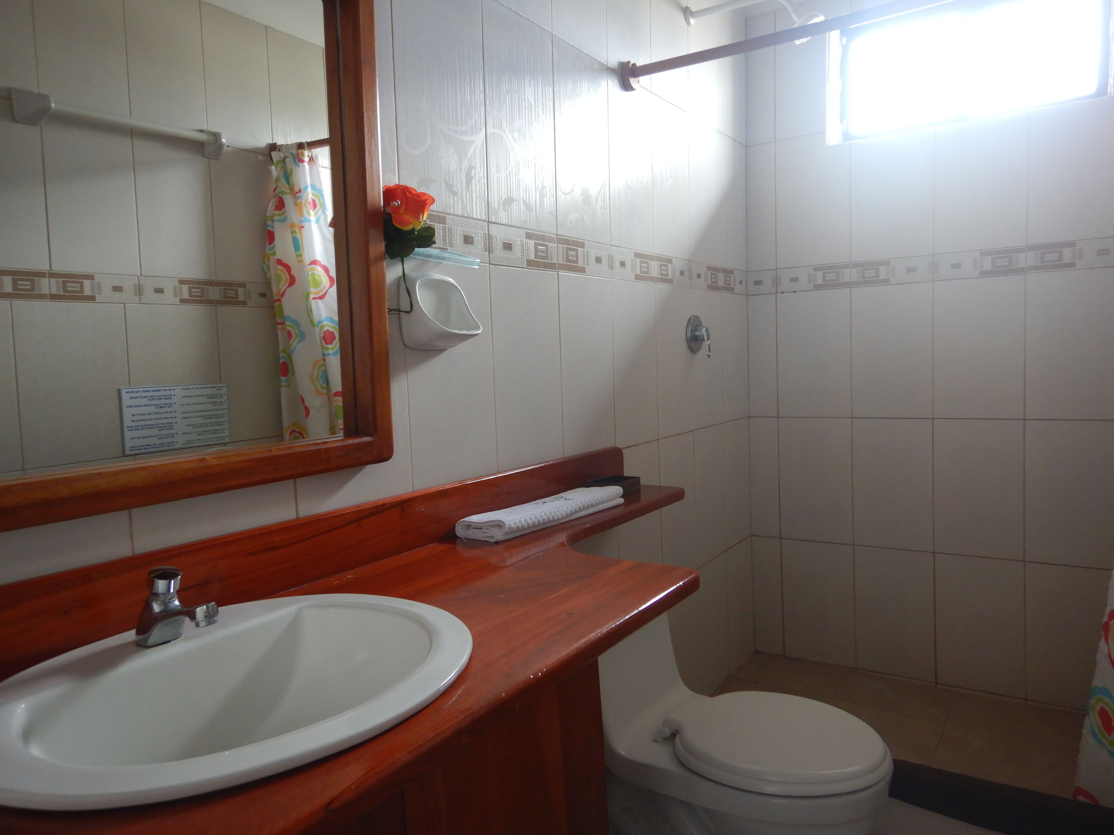 Photo - Hotel LA GRAN TORTUGA - ᯤ STARLINK