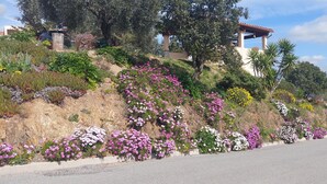 A hillside with a road, a building with a pergola, and a variety of flowering plants.