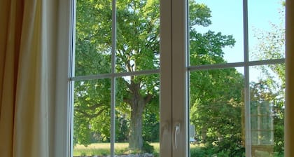 Holiday house "Am Jungfernberg" between Peene stream and backwater