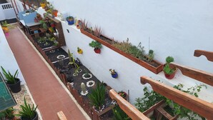 Un jardín en la azotea con diversas plantas en macetas y un banco de madera.