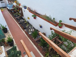 Vista al jardín